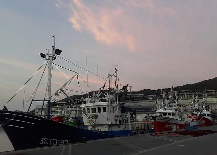 La Tortuga ゲストハウス 2*